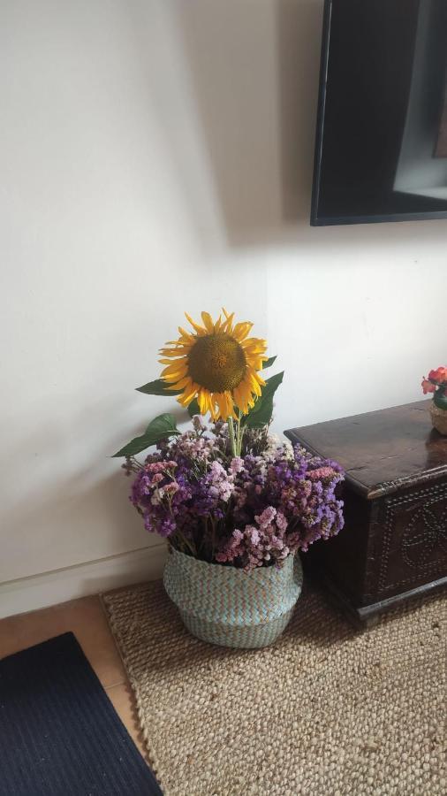 El Rinconin Del Sueve Villa San Martin de Valles Ngoại thất bức ảnh