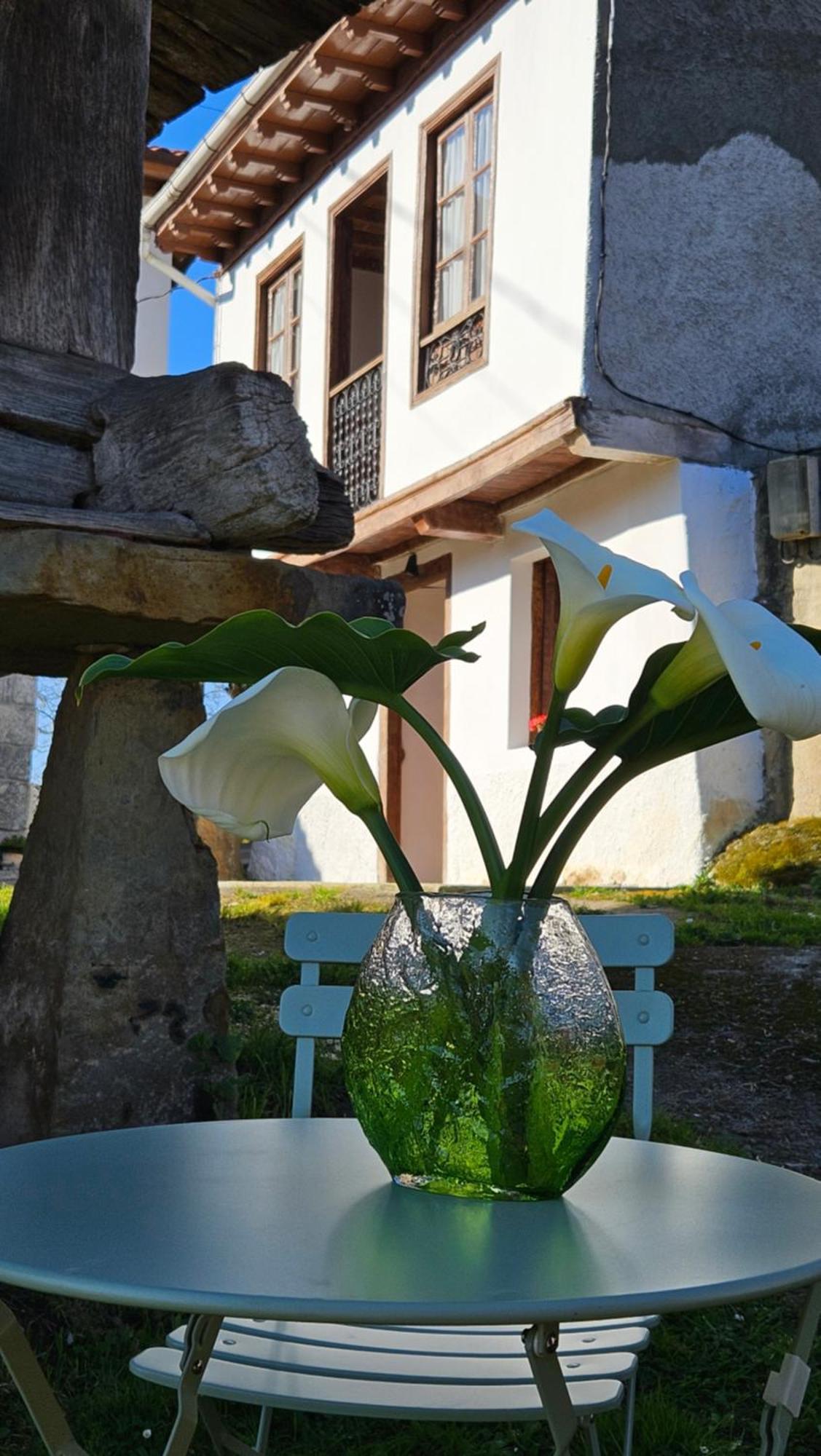 El Rinconin Del Sueve Villa San Martin de Valles Ngoại thất bức ảnh