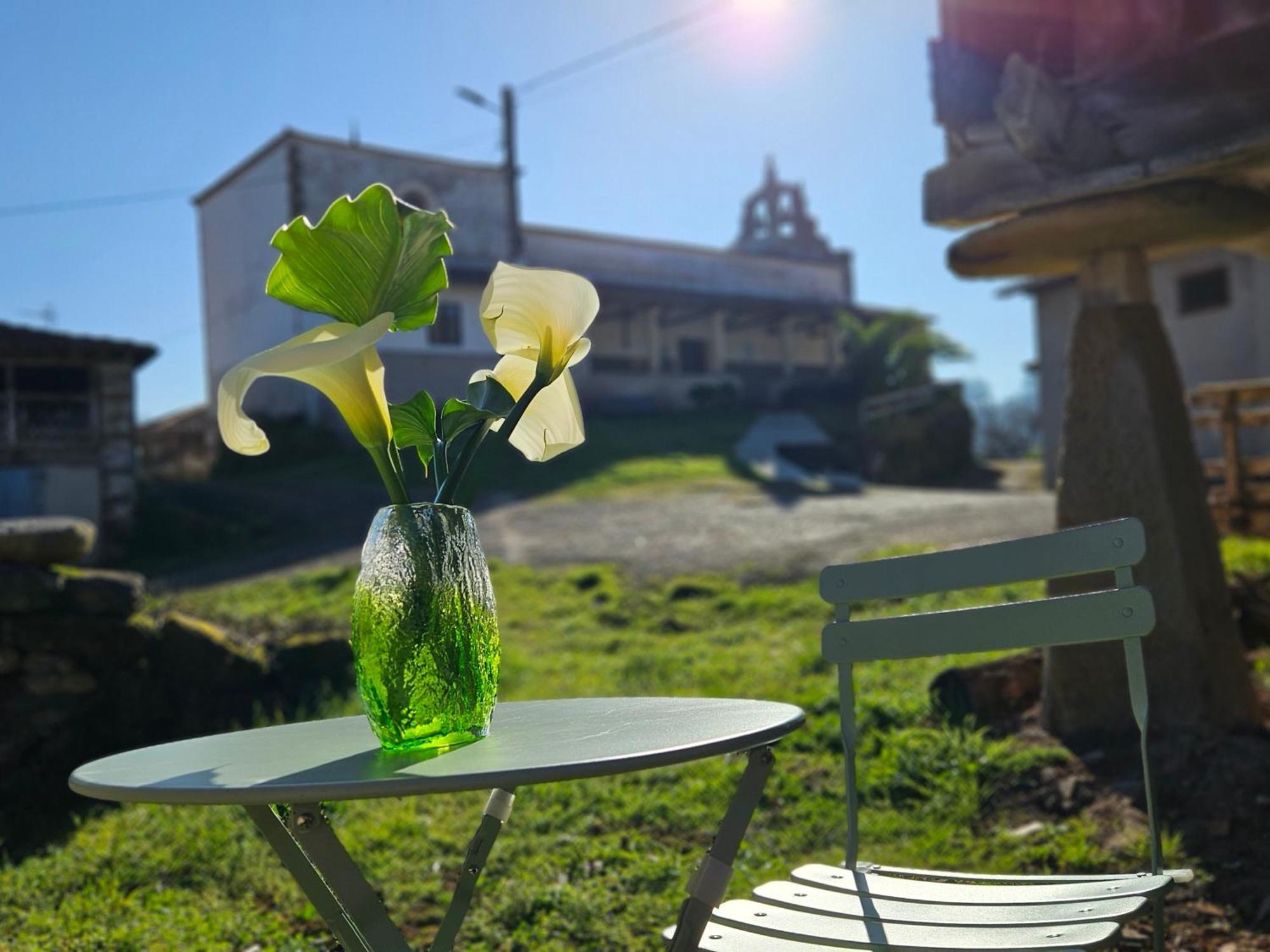 El Rinconin Del Sueve Villa San Martin de Valles Ngoại thất bức ảnh